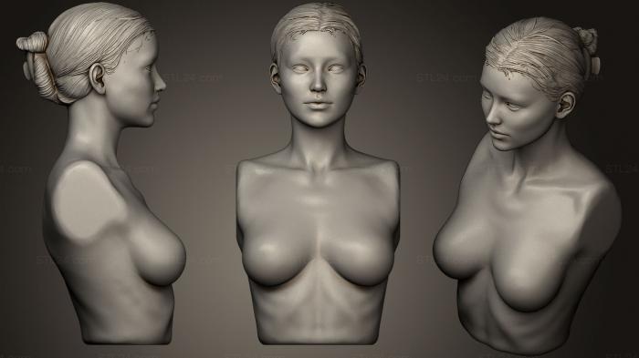 Анатомия скелеты и черепа (Скульптура волос 36, ANTM_0135) 3D модель для ЧПУ станка